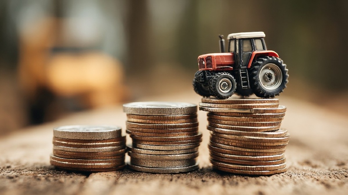 Reforma Tributária no Agro: Evento Exclusivo na Expogrande Lotado!